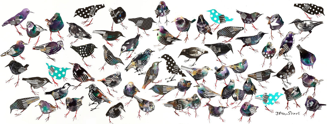 Study of Starlings For Sale - John Short Irish Visual Artist