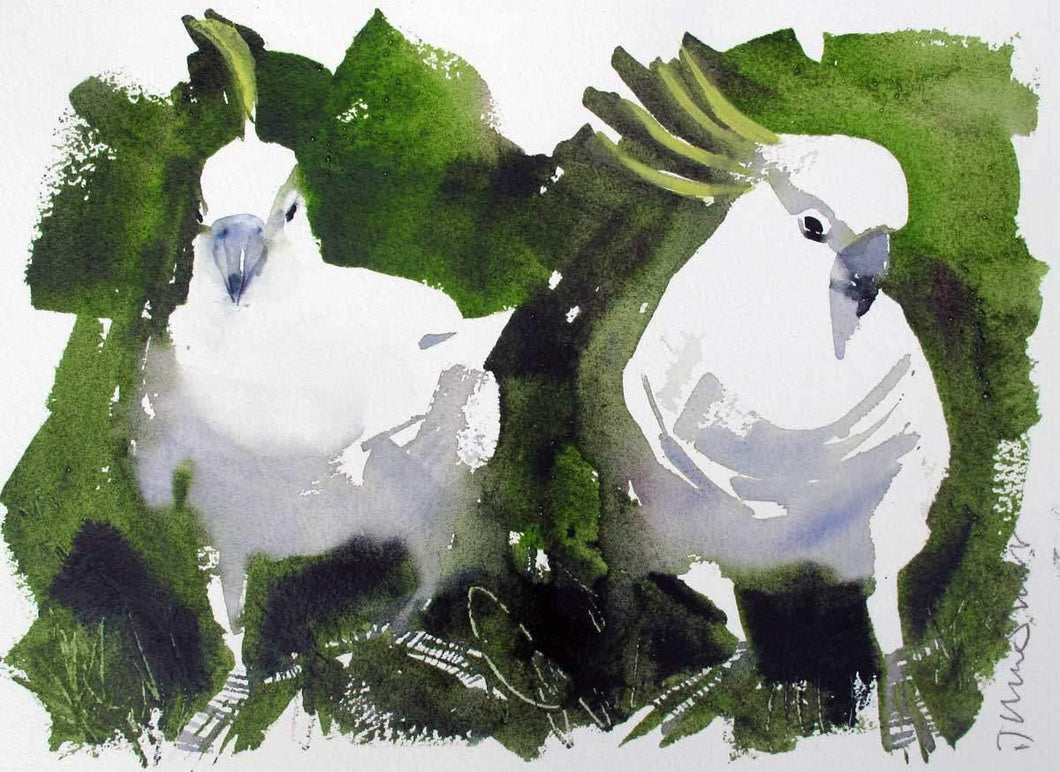 Sulphur Crested Cockatoos (study) For Sale - John Short Irish Visual Artist