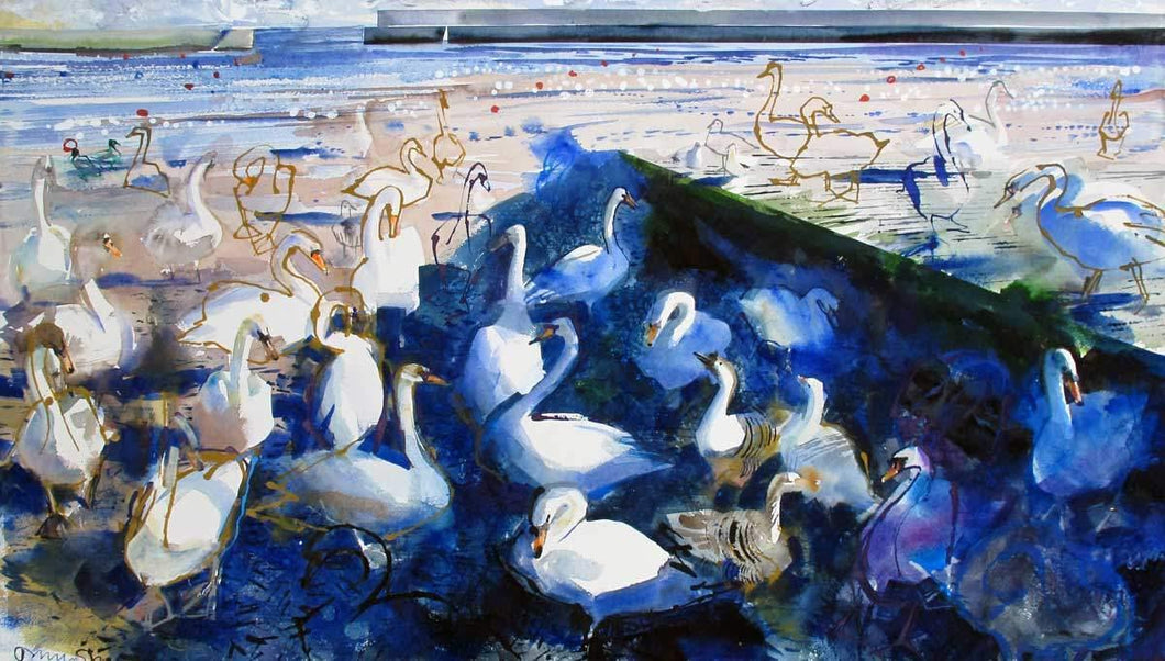 Swans & Geese In Harbour For Sale - John Short Irish Visual Artist