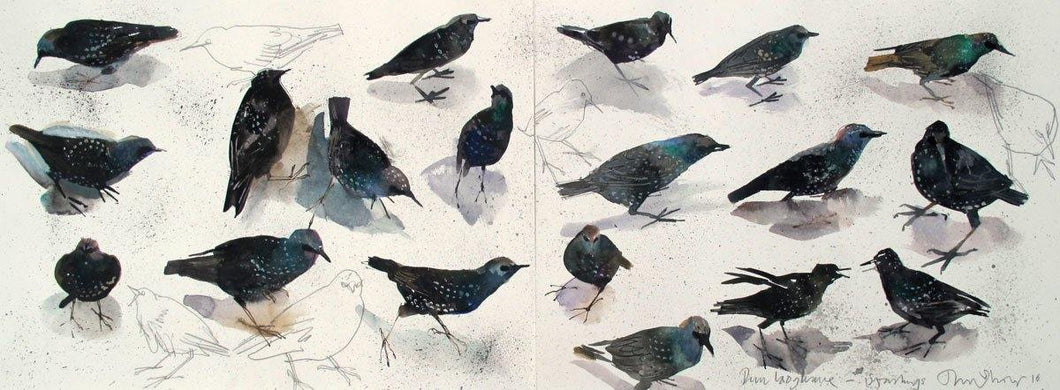 Starlings For Sale - John Short Irish Visual Artist