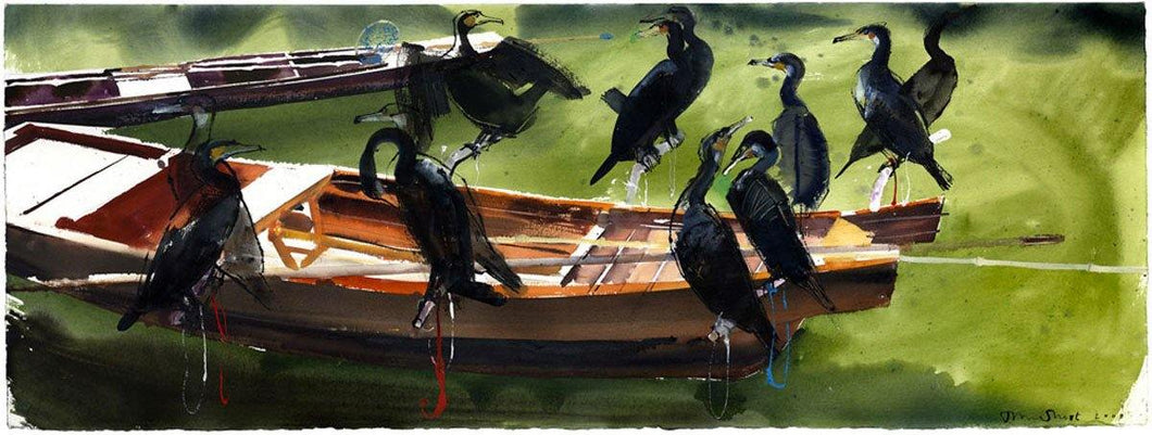 Cormorants For Sale - John Short Irish Visual Artist